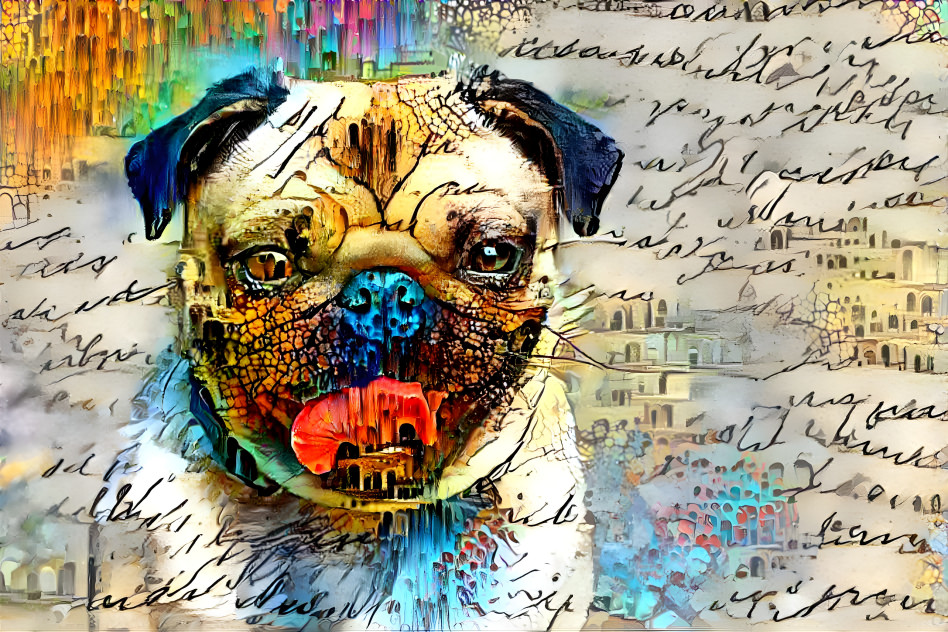 Pug