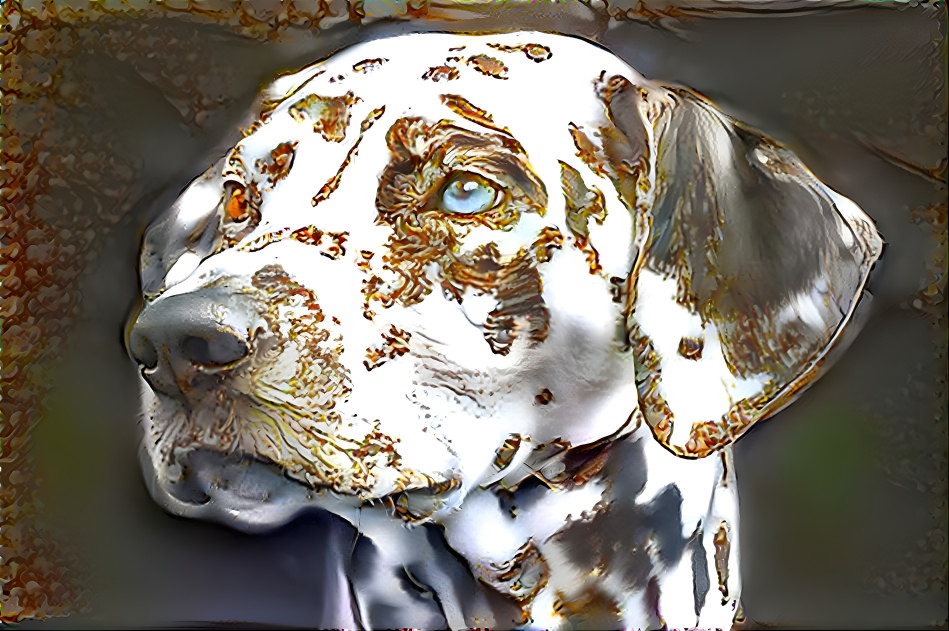 Porcelain Dalmatian