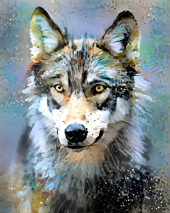 Wolf