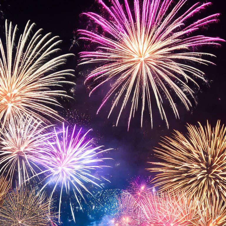 Colorful Pink, White, and Gold Fireworks in Night Sky