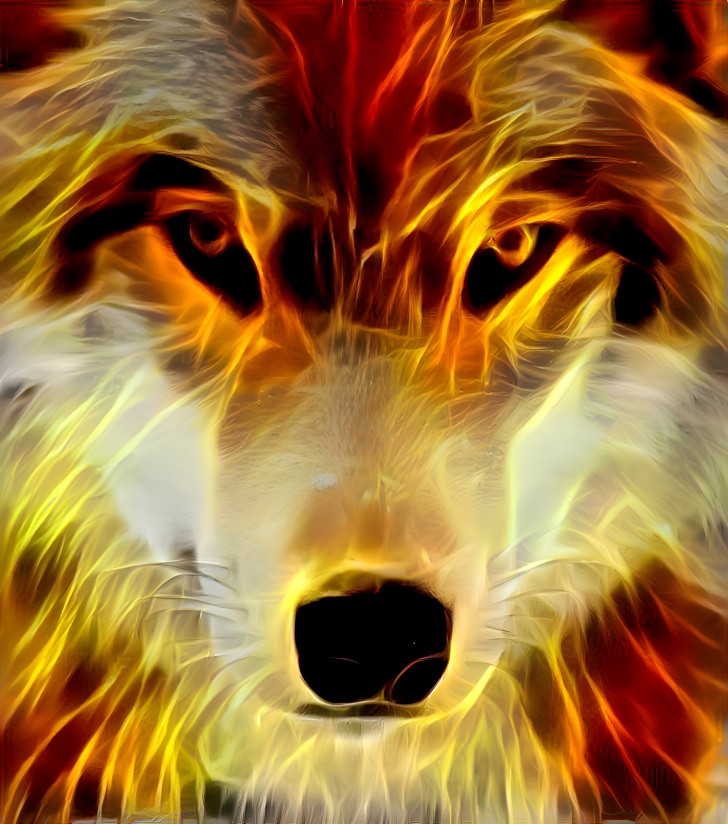 Fire Wolf