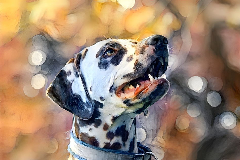 Dalmatian