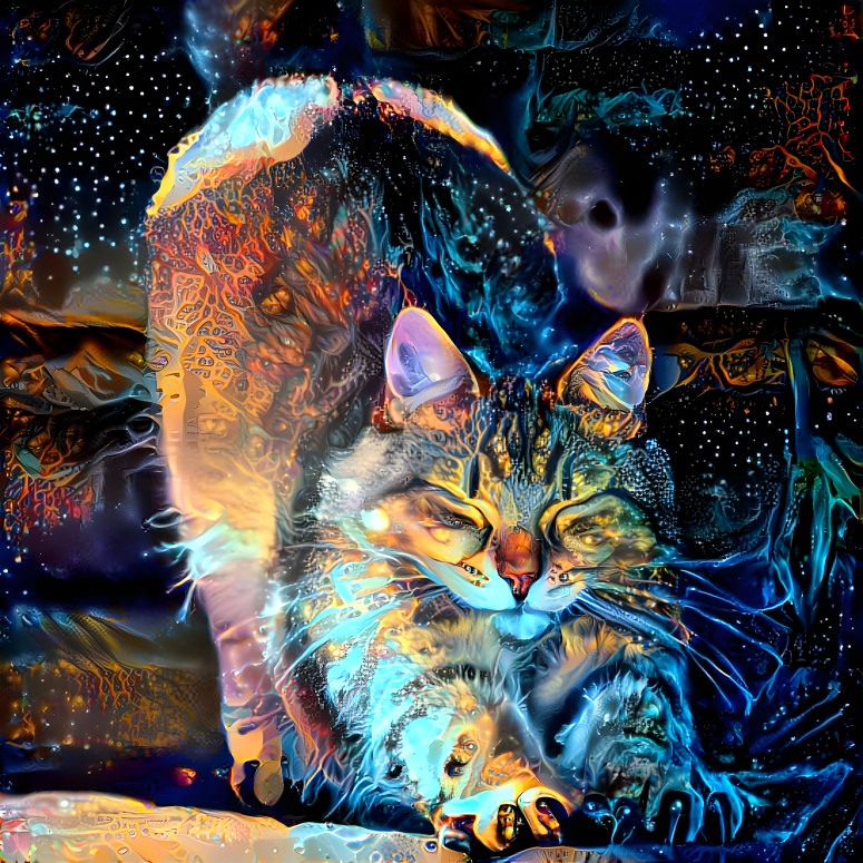 Color Cat 