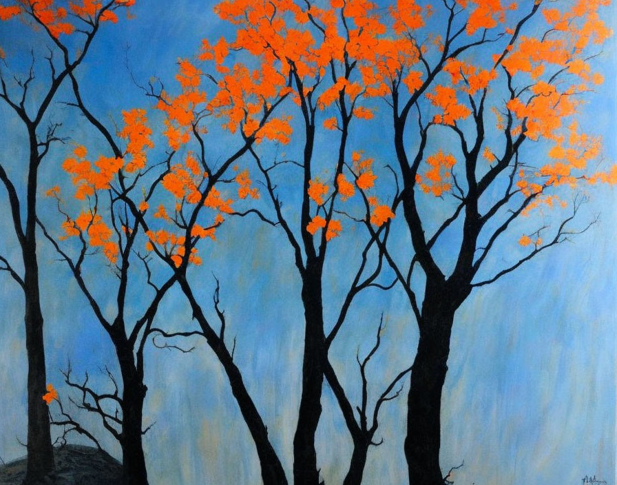 Vibrant orange leaves on black tree branches against blue background