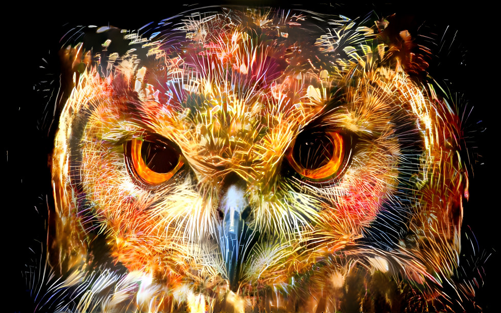 Owl