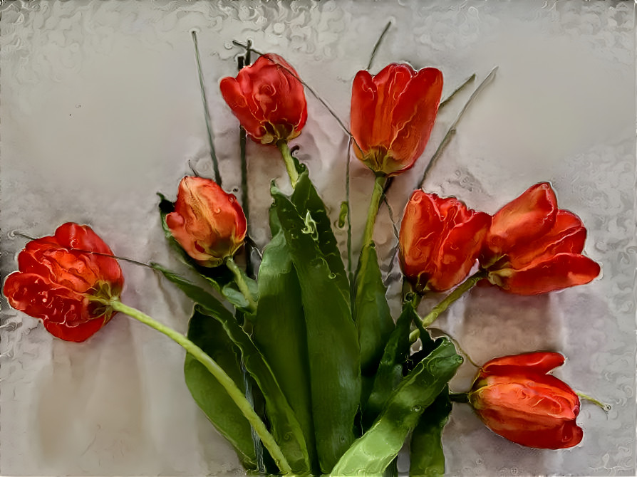 Red Tulips