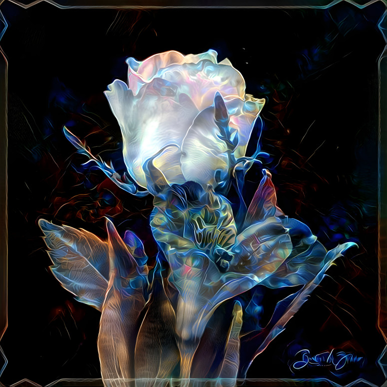 Floral Art - Series #15