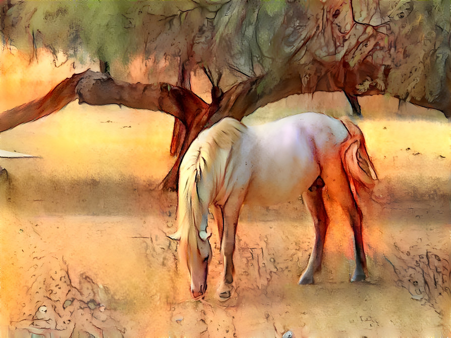 Wild Horse grazing 