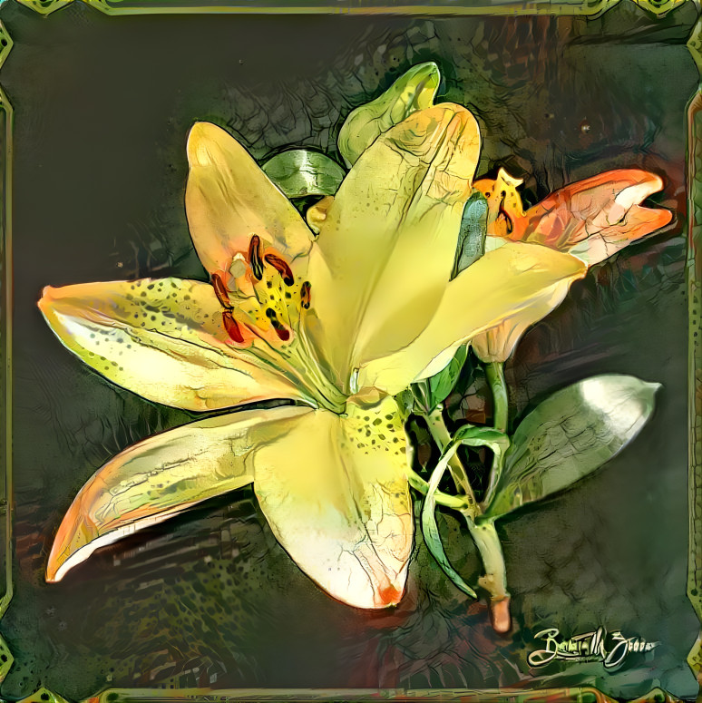 Yellow Lily