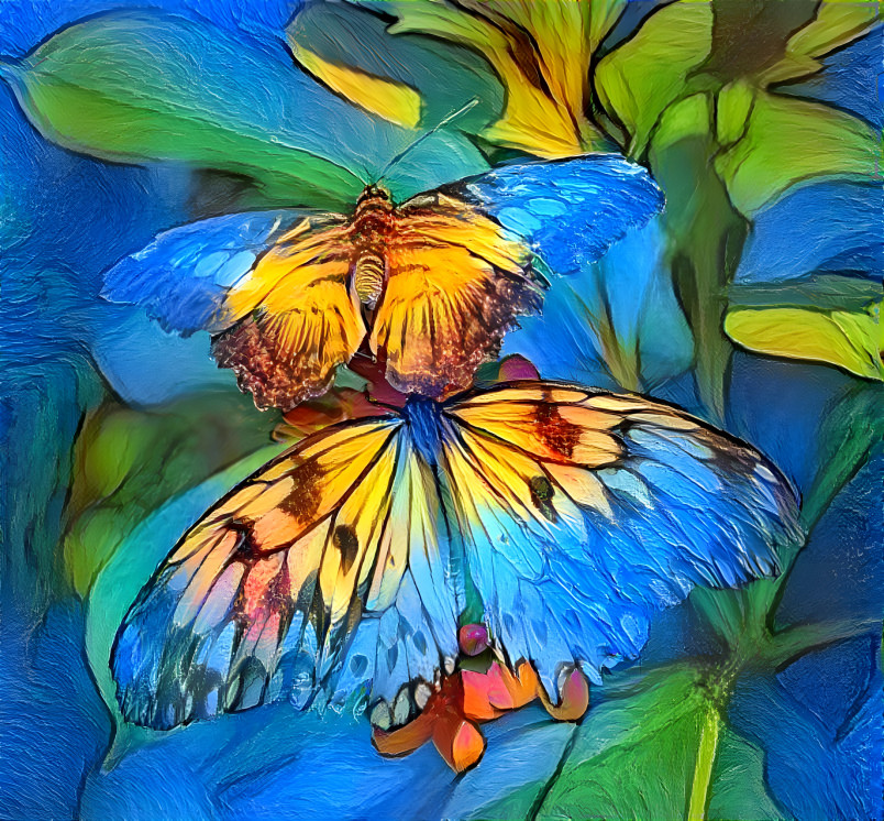 Mariposas