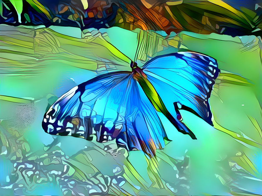 Blue Morpho