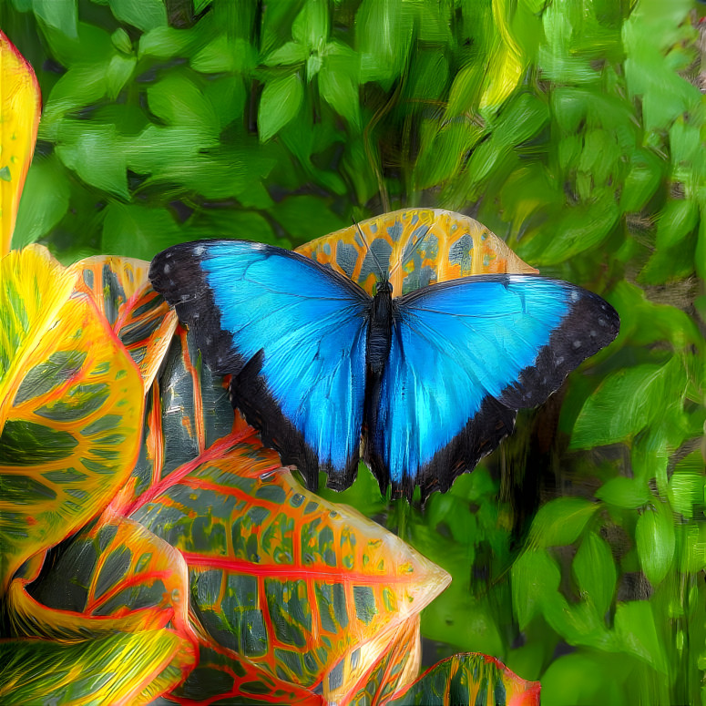 Blue Morpho