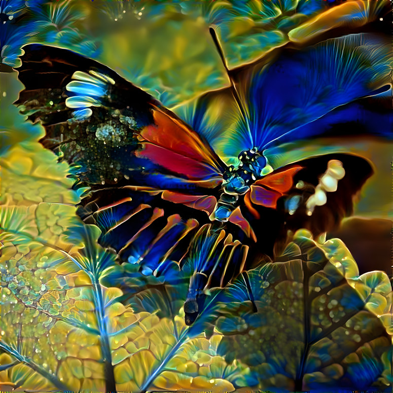 Butterfly Wonderland