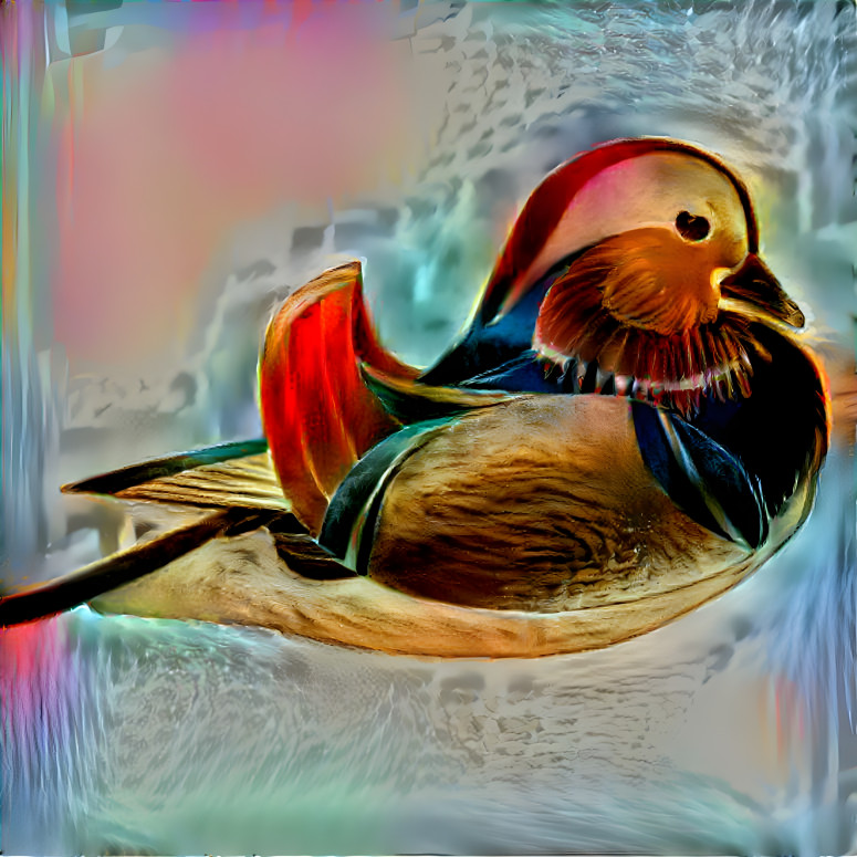 Duck