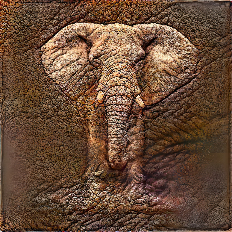 Éléphant