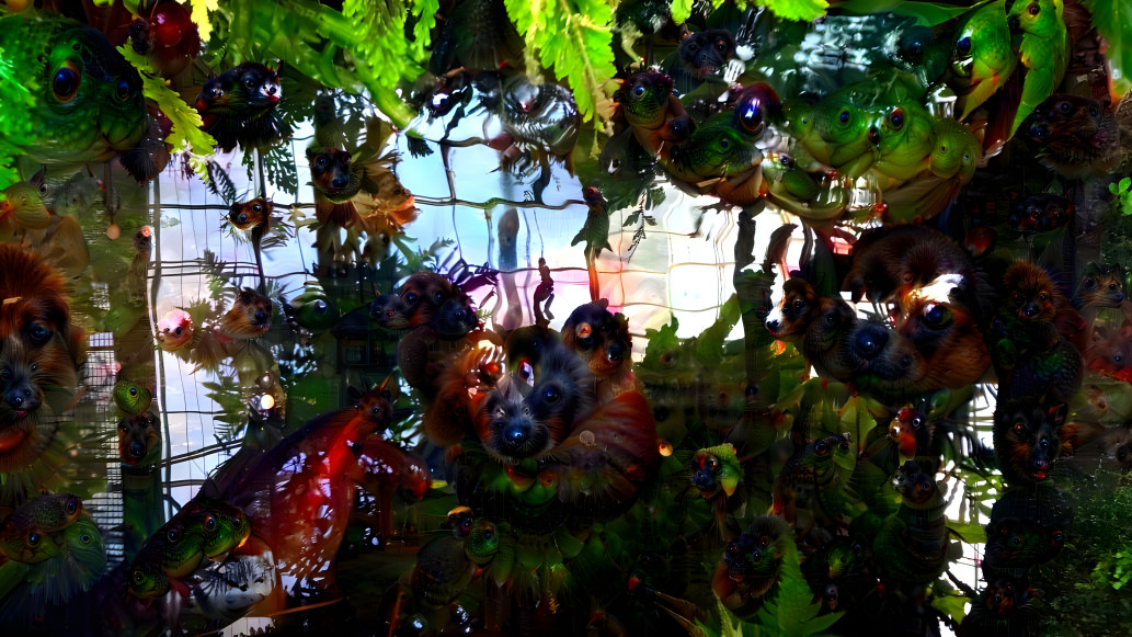 small pond in a fern house 1