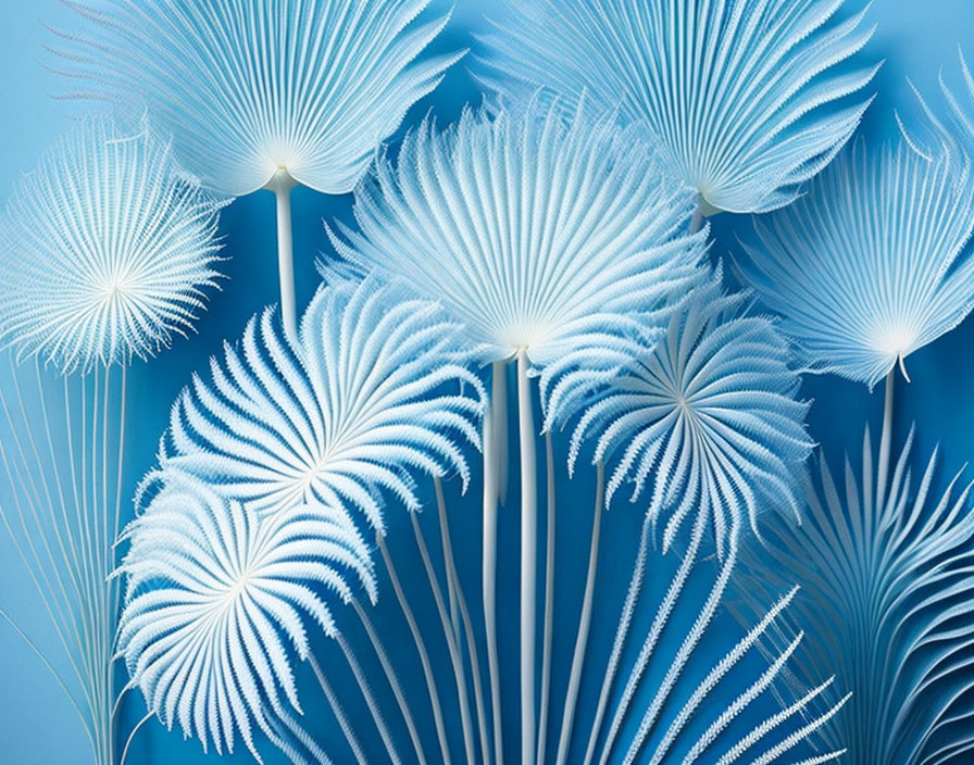Delicate white dandelion seed heads on soothing blue background