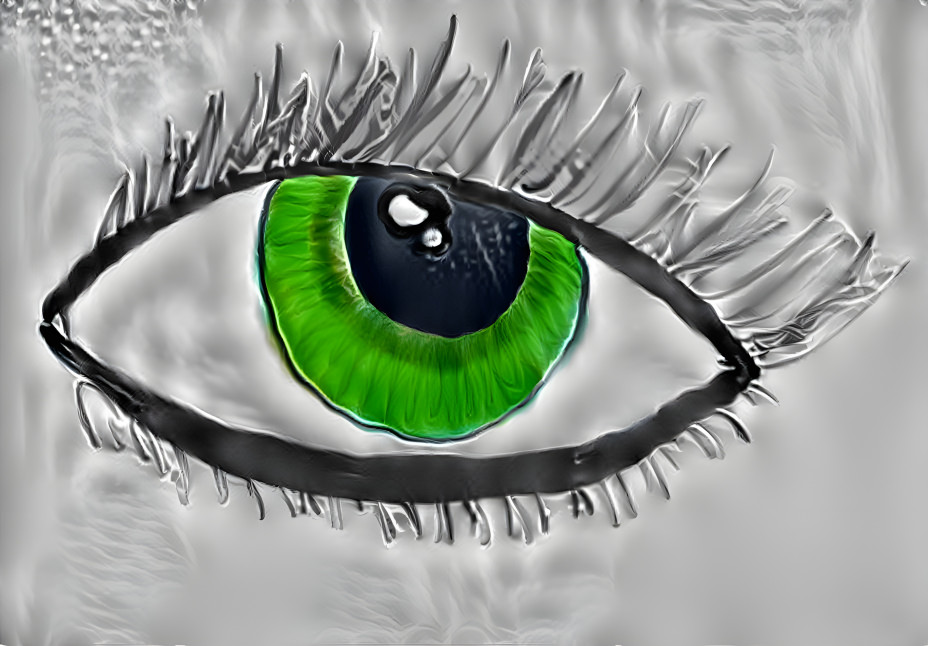 Eye