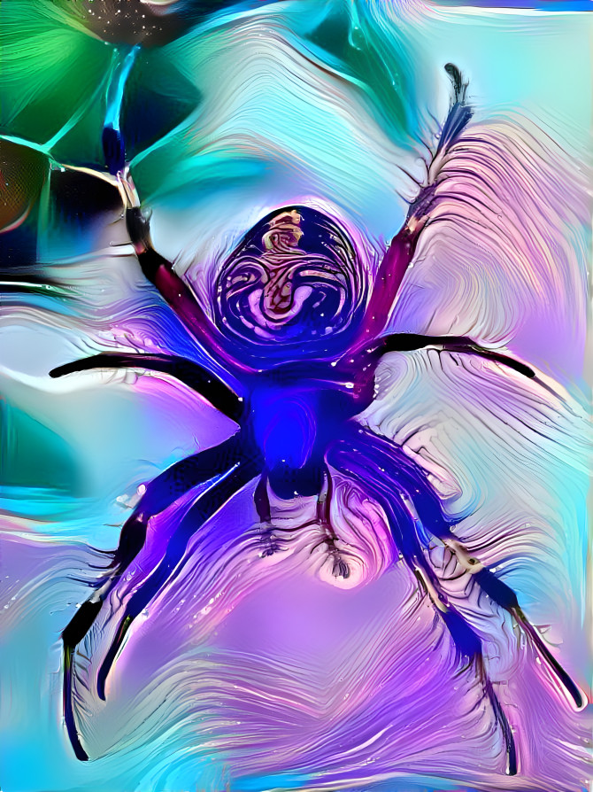 Spider