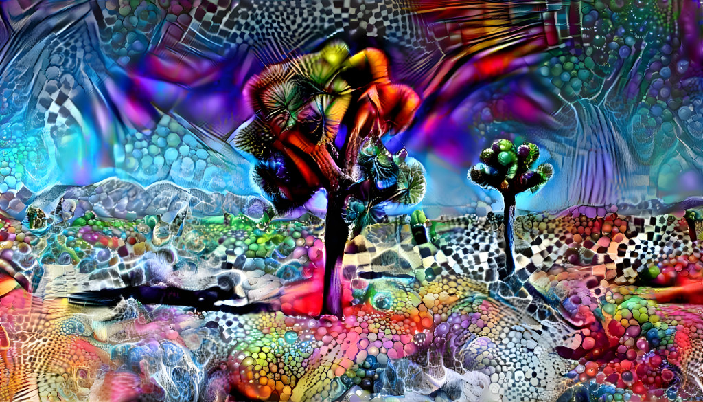 Joshua Tree