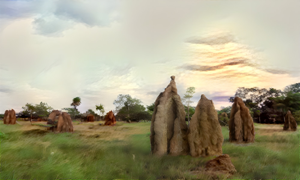 Natural Musamus termite house in Merauke