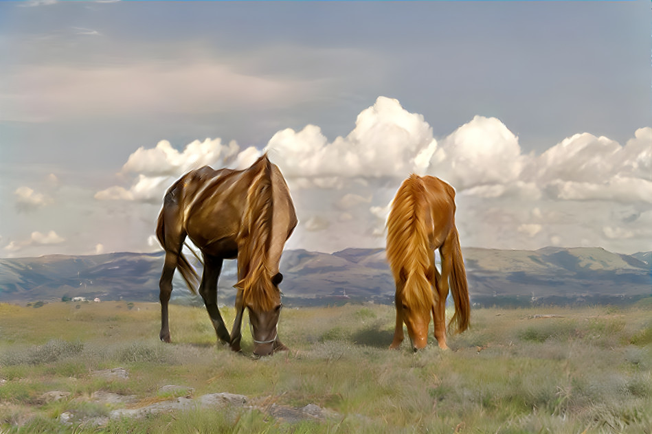 Two Sandalwood Horses of Sumba Island