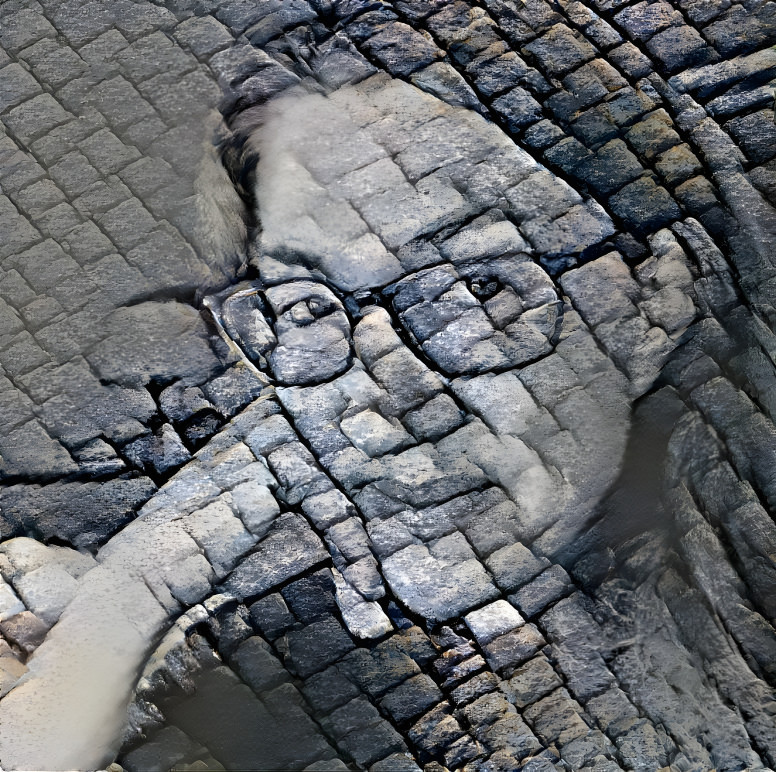 Cobblestone portrait