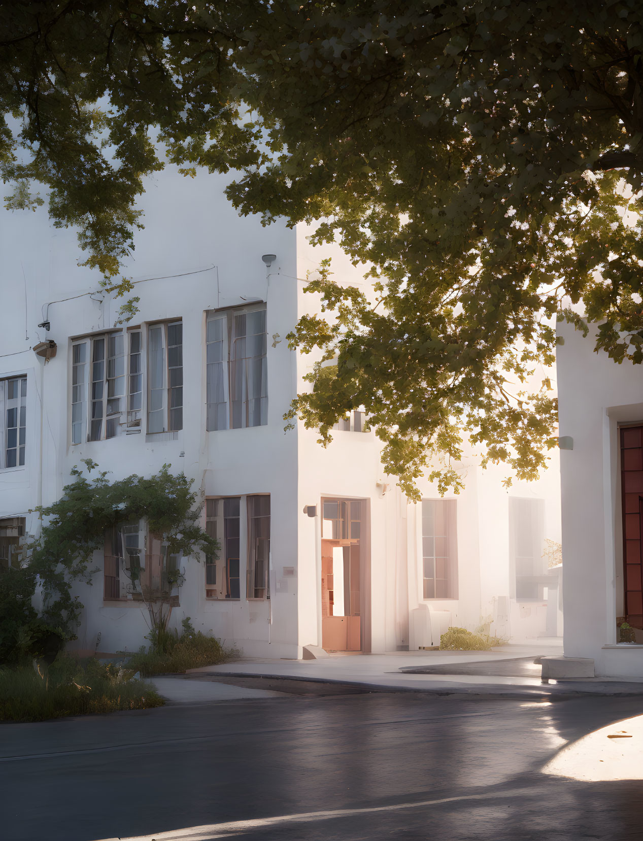 Sunlight casting soft shadows on white building with large windows