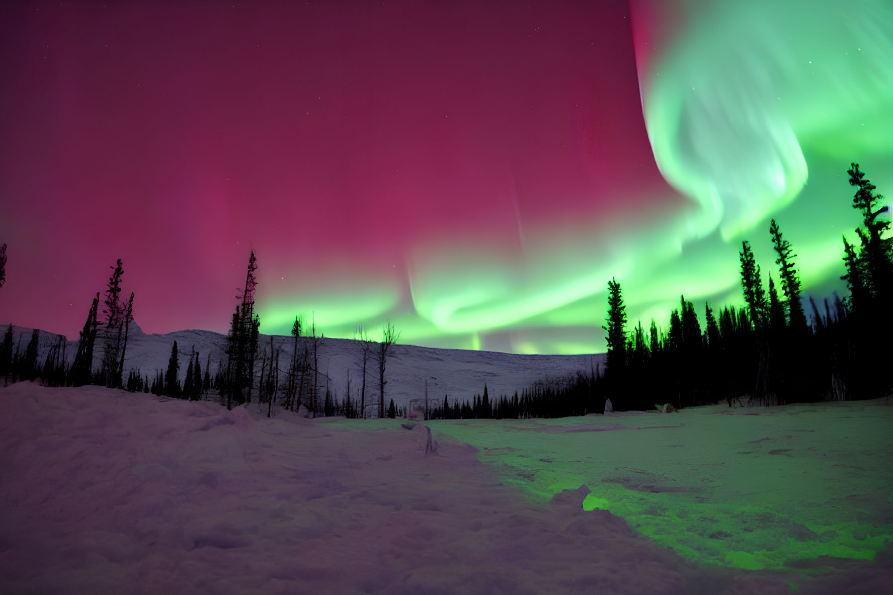 Pink and Green Aurora Borealis Over Snowy Landscape