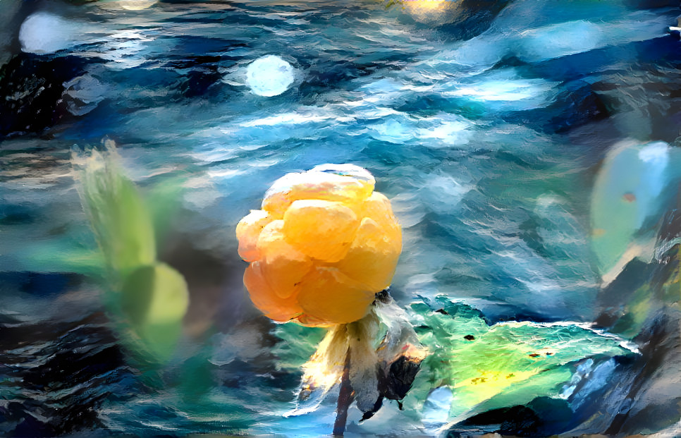 Cloudberry