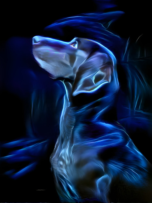 Blue Ray Dog