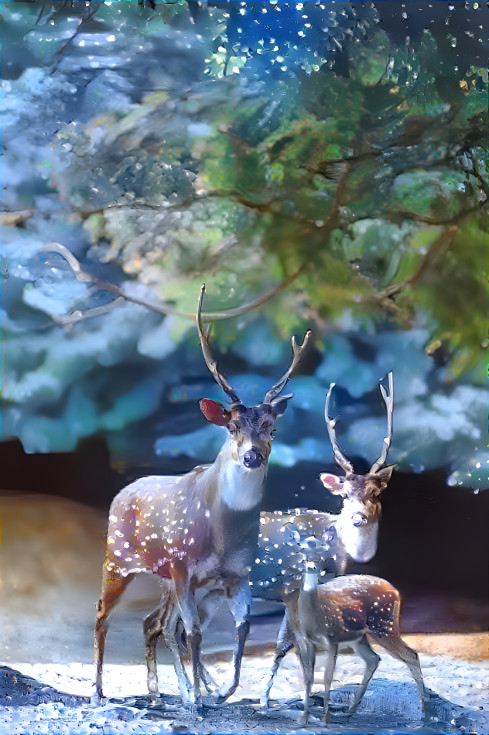 Santa's Deer Family