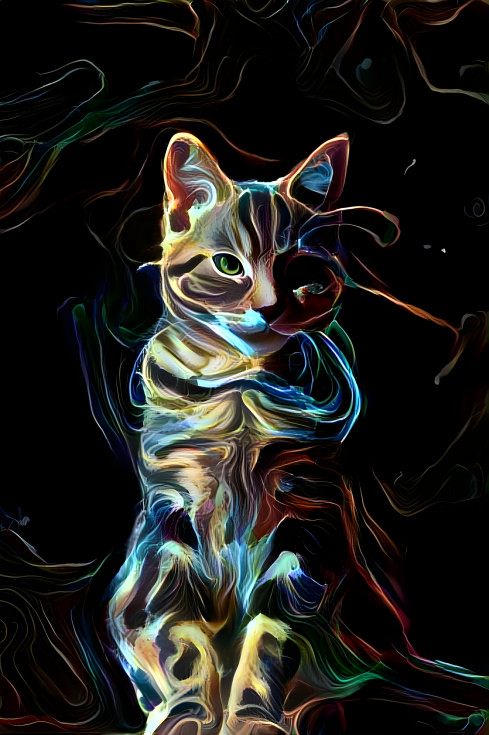 Color Cat