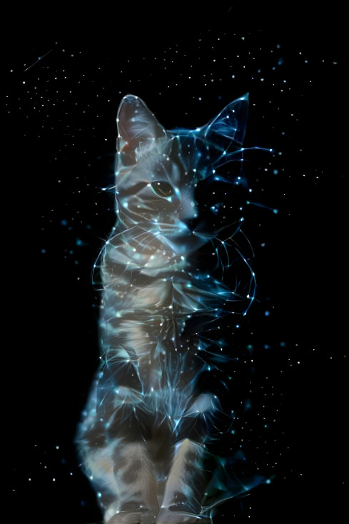 Constellation Cat