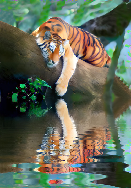 Tiger in the river