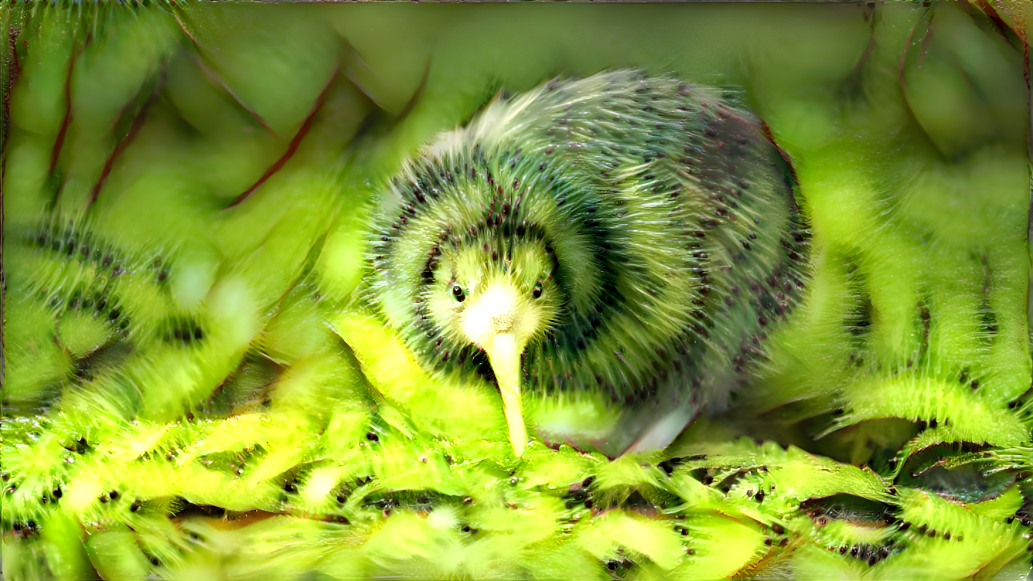 Kiwi 5