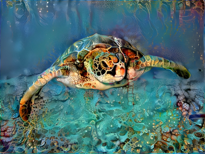 Turtles Are Amazing