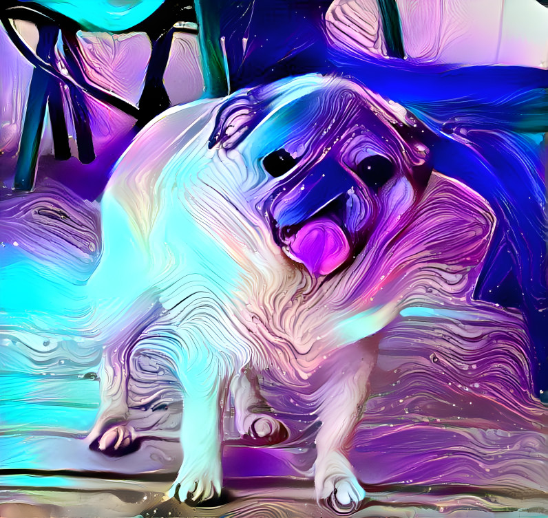 wavy pug