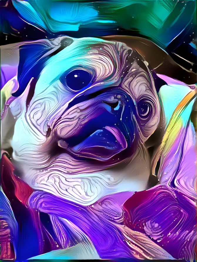 stella the pug wavy