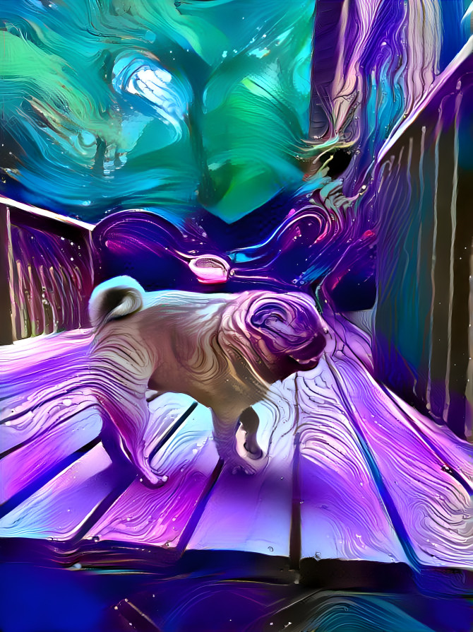 wavy pug 