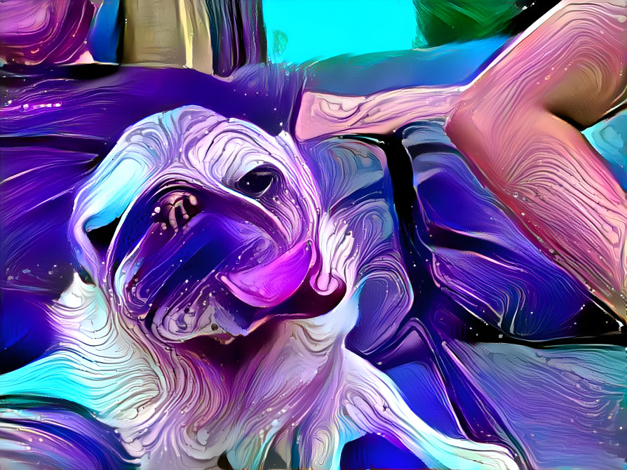 wavy pug