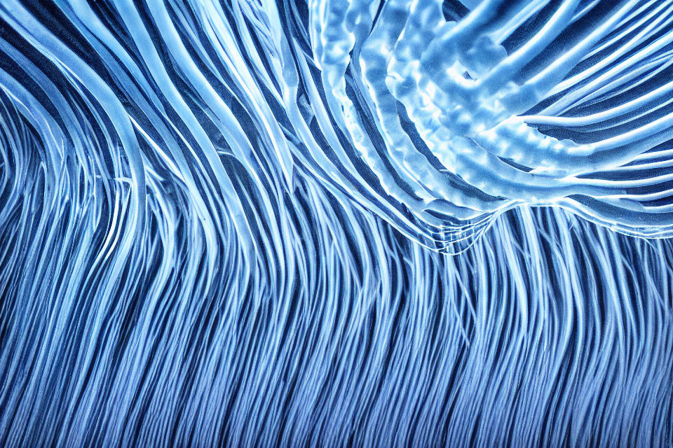 Blue Abstract Patterns Resembling Waves and Sand Dunes