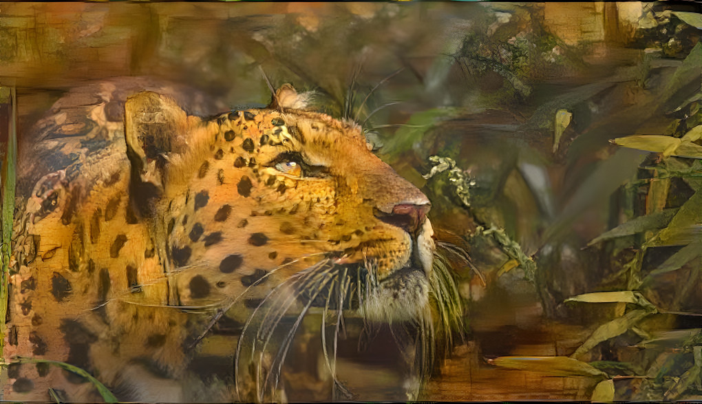 Untitled Leopard