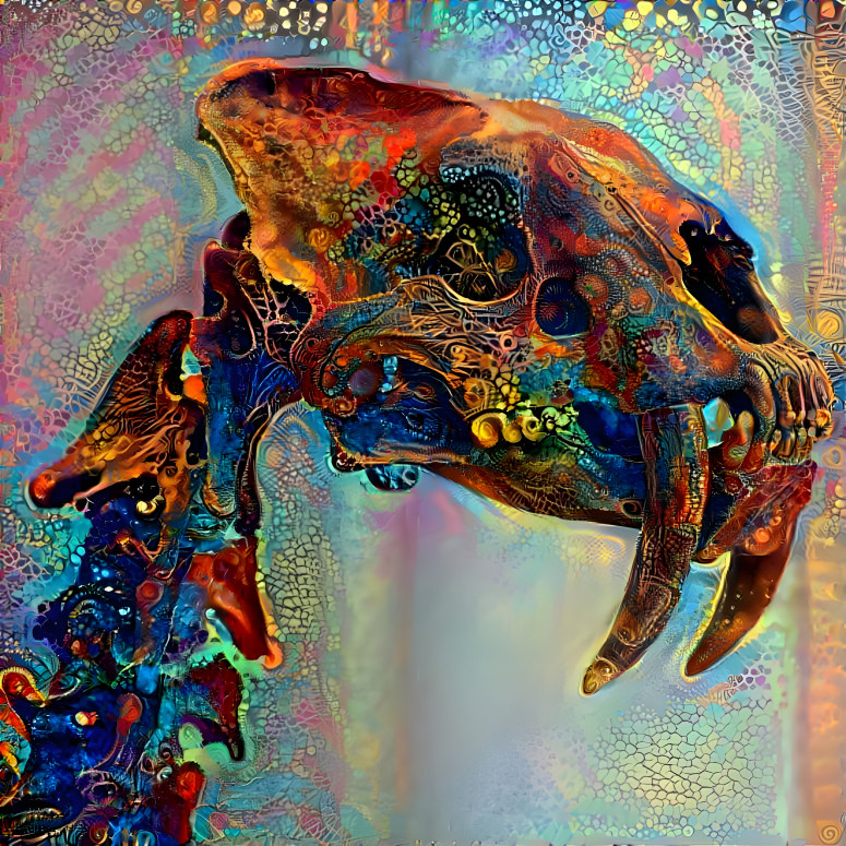 Saber Tooth Tiger Skull