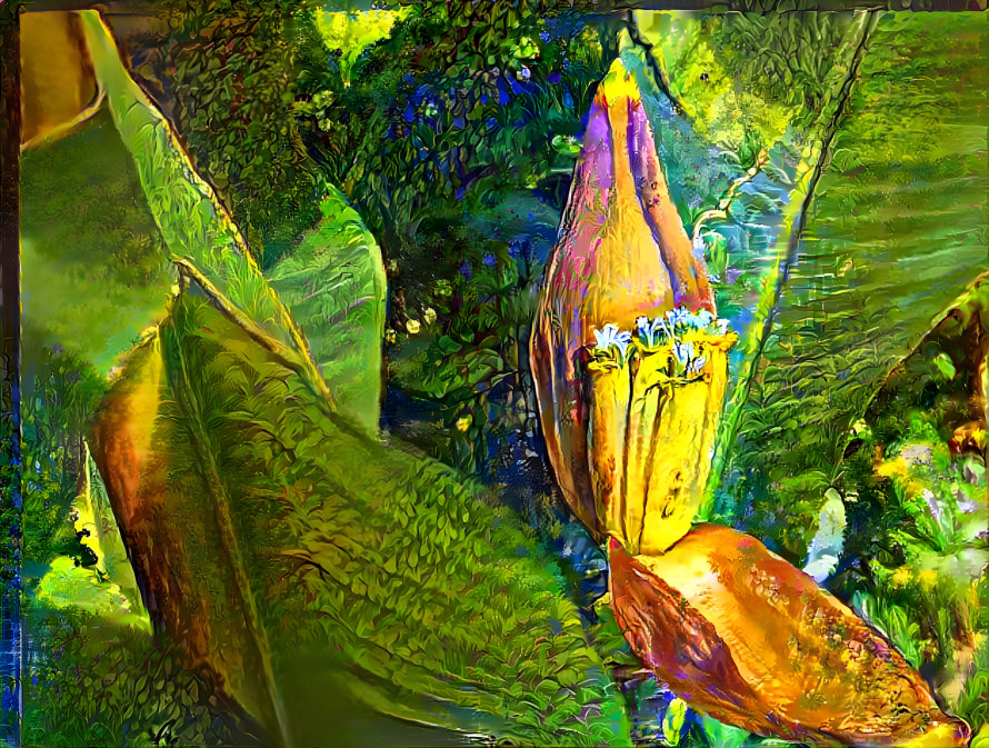 Blossoming Banana Flower