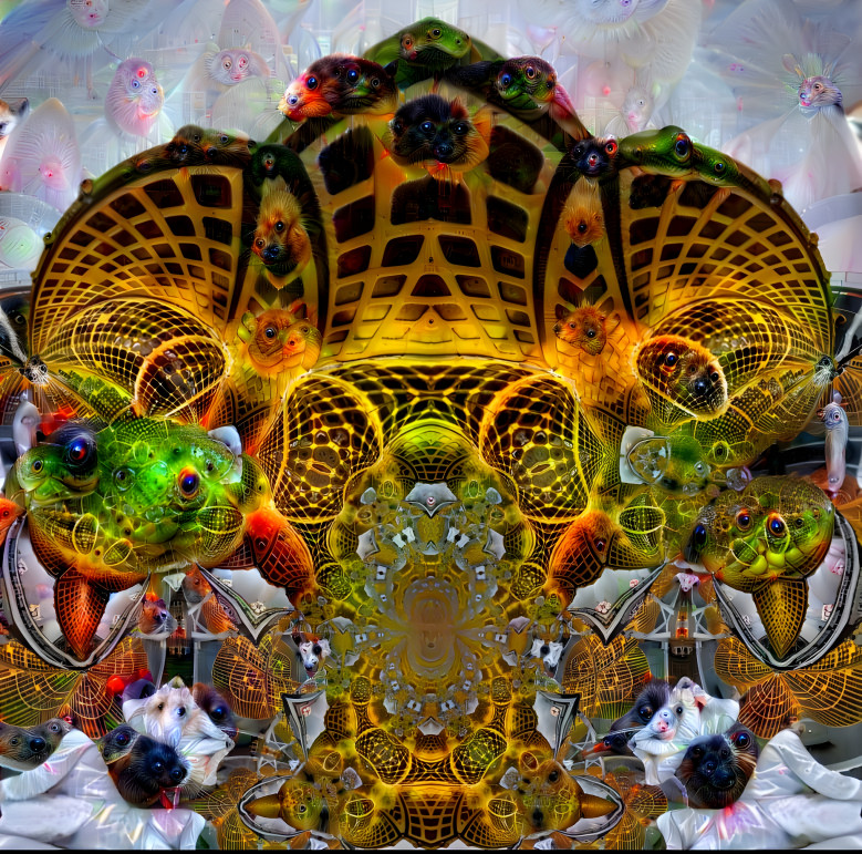 Fractal dream