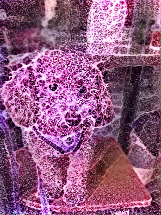 Mycelium Mutt