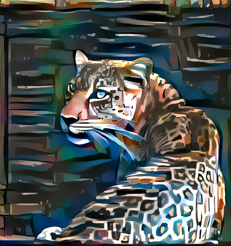 LEOPARD