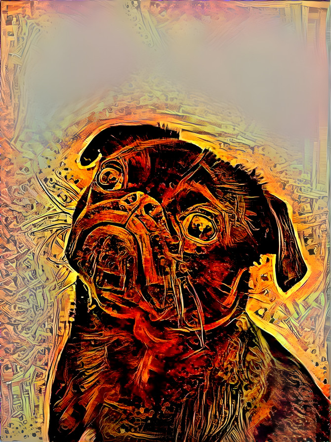 Pug