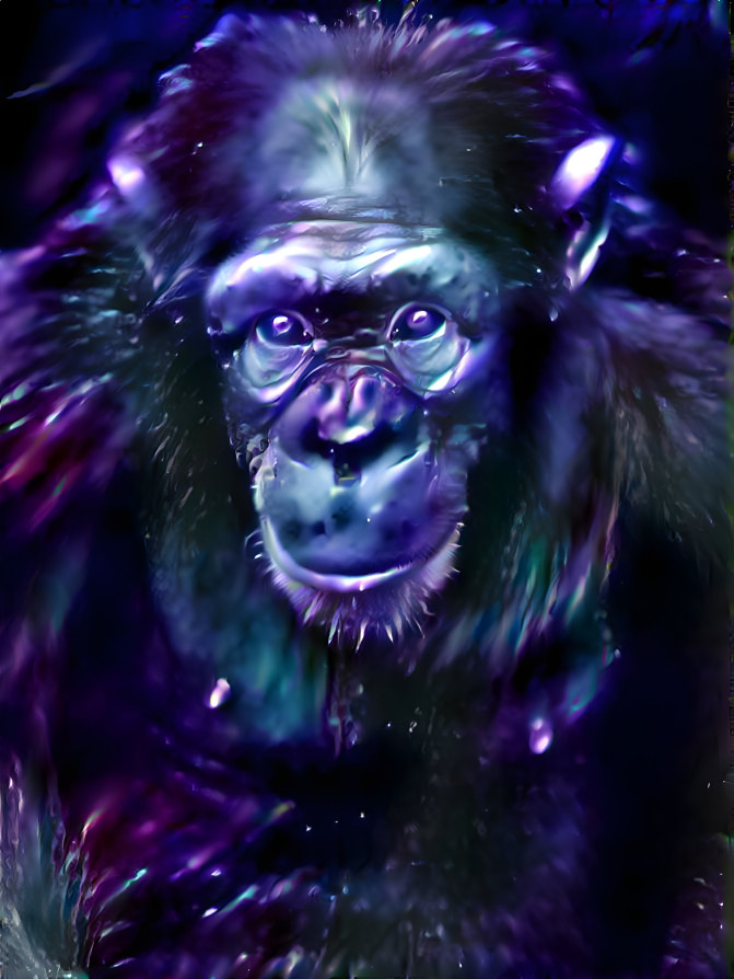 Chimpanzee